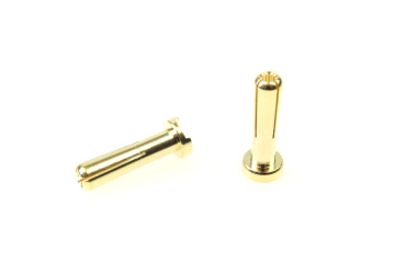 Intellect G4 Male Pin 4mm connector (2)