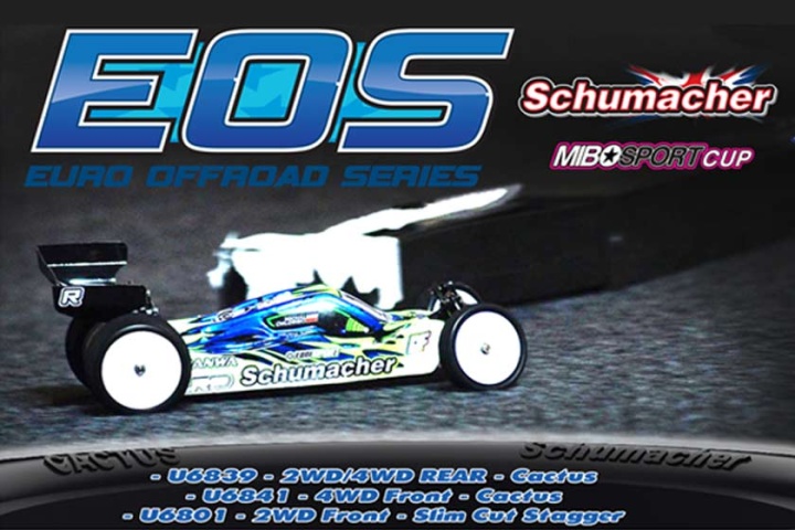 1:10 Schumacher Cactus - Rear- 2 & 4WD Reifen - Blau (2 Stück)
